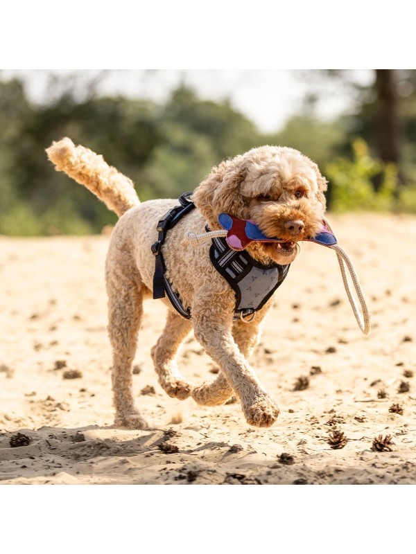 JOUET EN CUIR POUR CHIEN ETE26 "QHP"