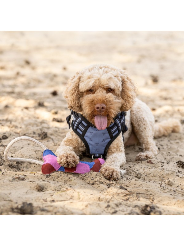 JOUET EN CUIR POUR CHIEN ETE26 "QHP"
