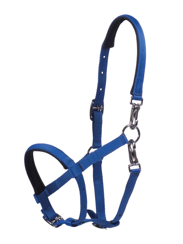 LICOL POUR POULAIN " MILLIE HKM "