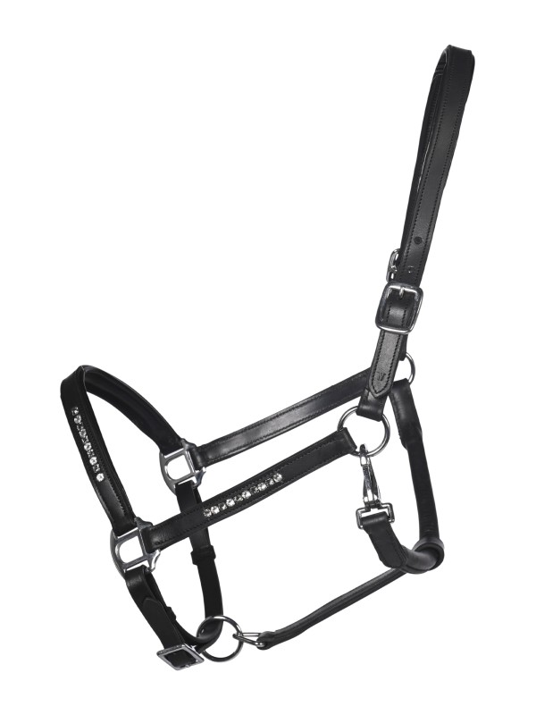 LICOL EN CUIR CHEVAL " SPARKLE " HKM