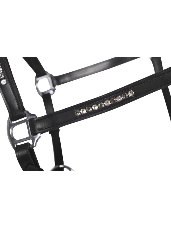 LICOL EN CUIR CHEVAL " SPARKLE " HKM