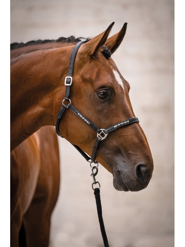 LICOL EN CUIR CHEVAL " SPARKLE " HKM