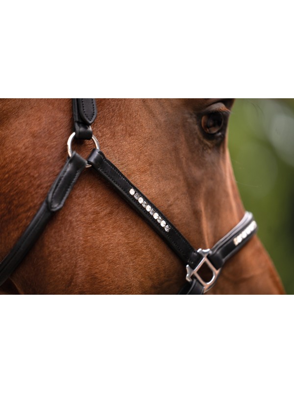 LICOL EN CUIR CHEVAL " SPARKLE " HKM