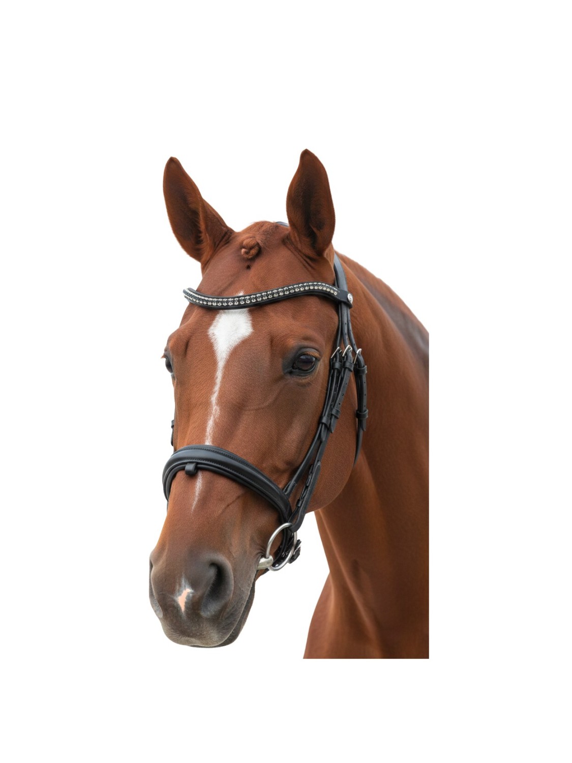 BRIDON EN CUIR FRONTAL STRASS " TOTILAS " CANTER