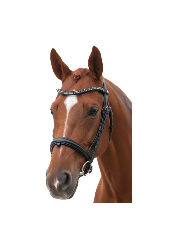 BRIDON EN CUIR FRONTAL STRASS " TOTILAS " CANTER