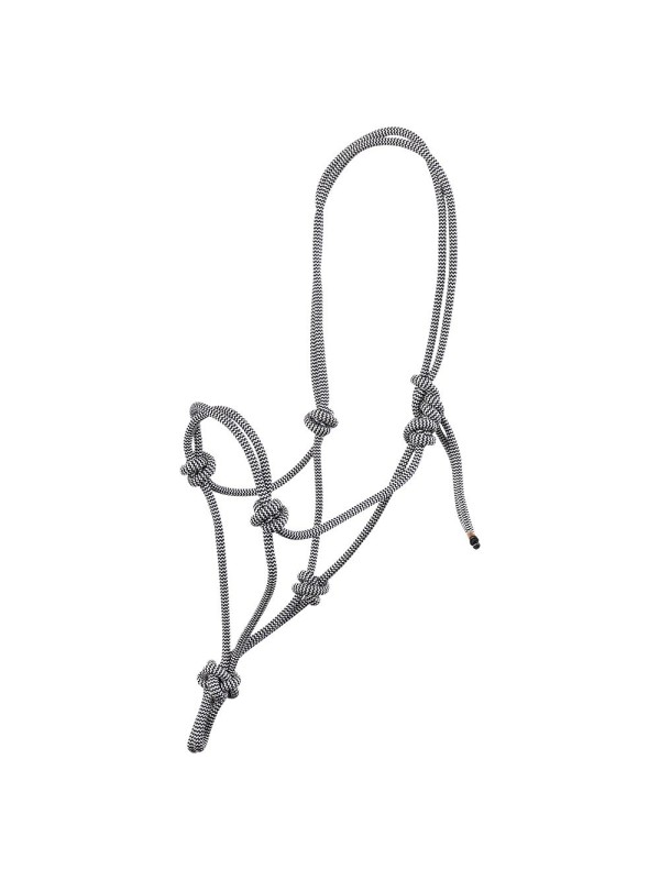 LICOL EN CORDE CHEVAL "KLARA" BR