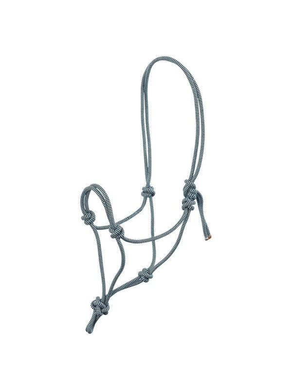 LICOL EN CORDE CHEVAL "KLARA" BR