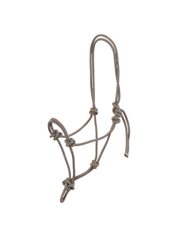 LICOL EN CORDE CHEVAL "KLARA" BR