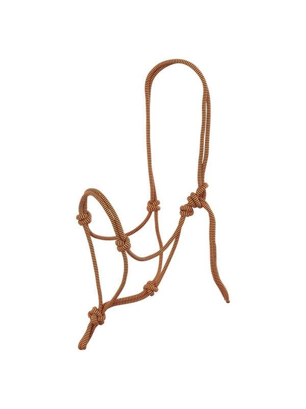 LICOL EN CORDE CHEVAL "KLARA" BR