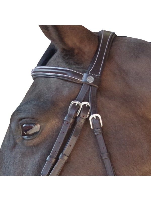 FILET EN CUIR CHEVAL" SURPIQUE " CANTER