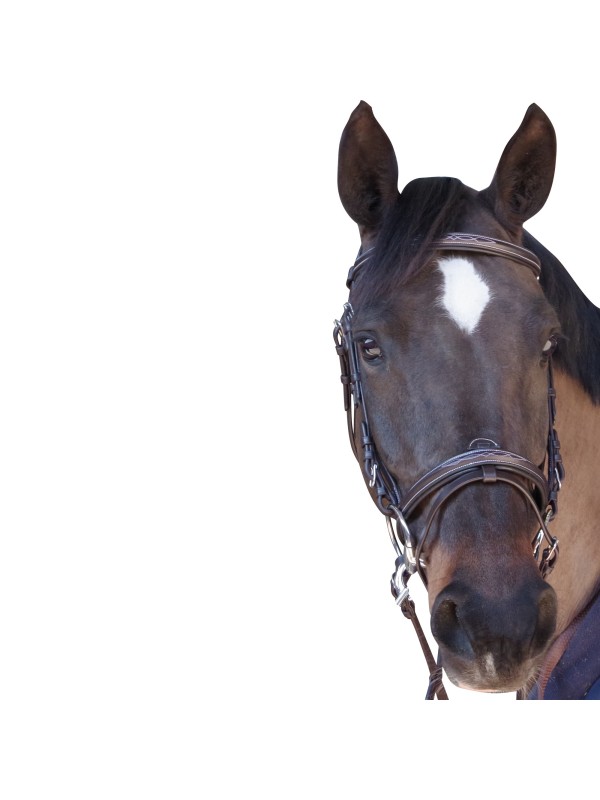 FILET EN CUIR CHEVAL" SURPIQUE " CANTER