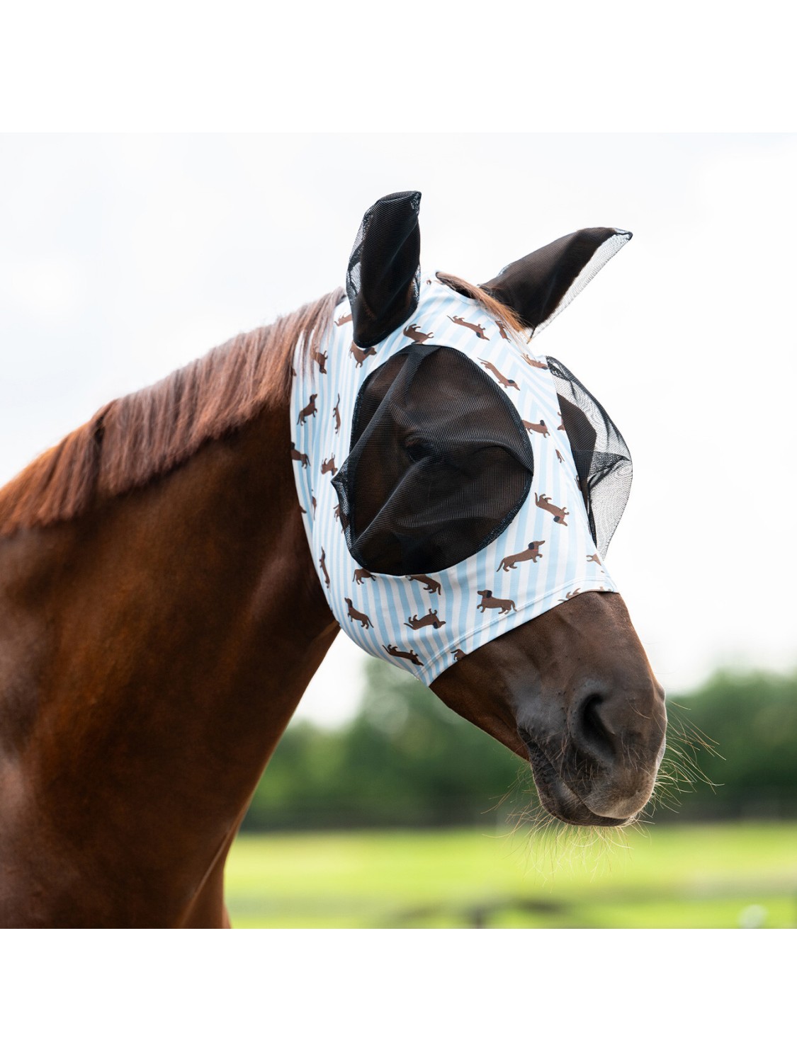 MASQUE ANTI-MOUCHES EN LYCRA " STABLE BUDDY " QHP