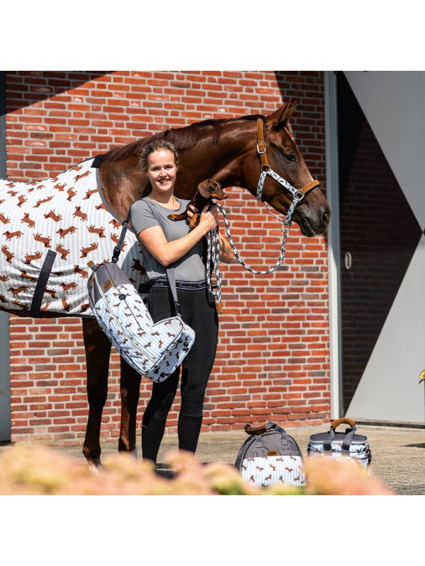 LICOL ET LONGE CHEVAL " STABLE BUDDY " QHP