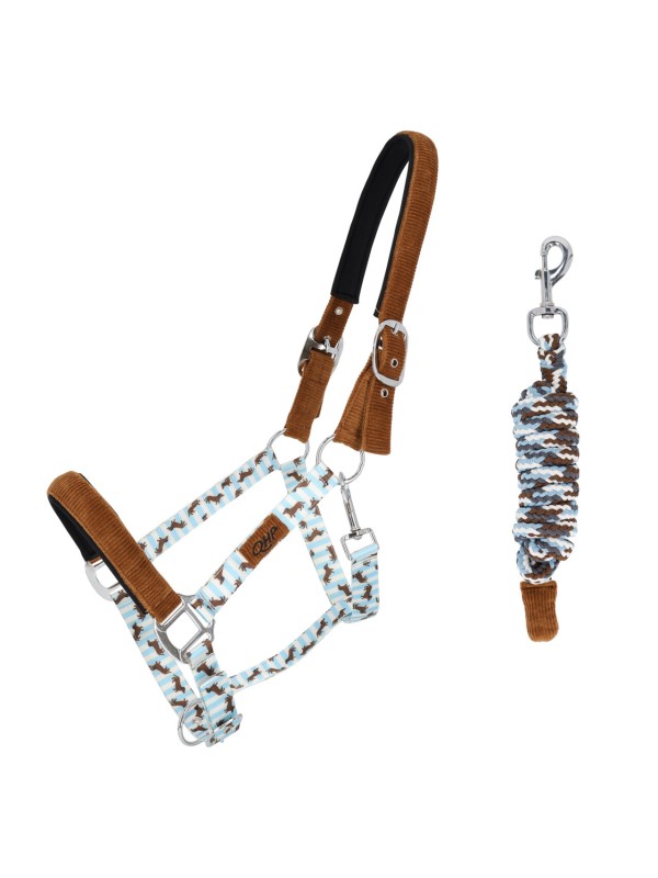 LICOL ET LONGE CHEVAL " STABLE BUDDY " QHP