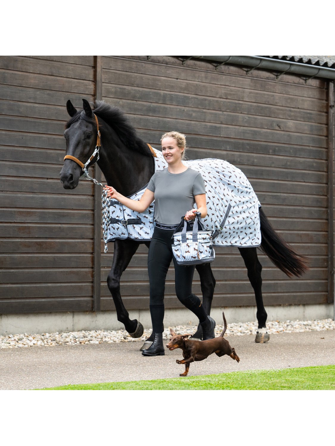 SAC A BROSSES, CHEVAL " STABLE BUDDY " QHP