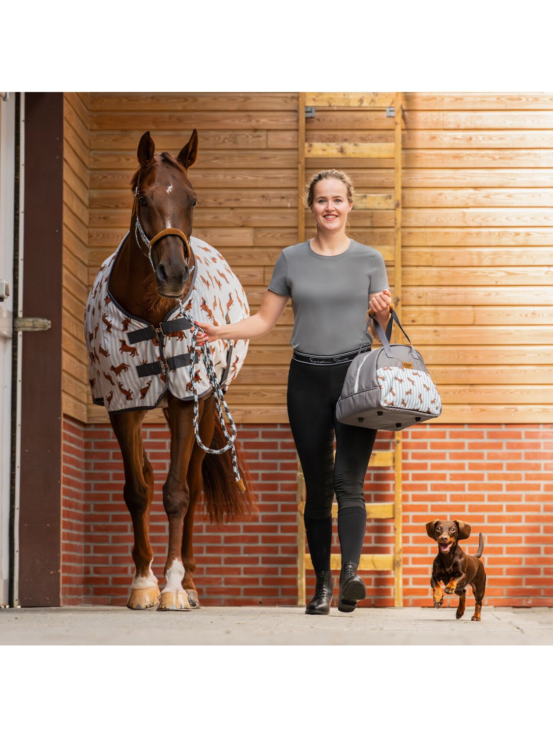 SAC A BOMBE D'EQUITATION " STABLE BUDDY " QHP