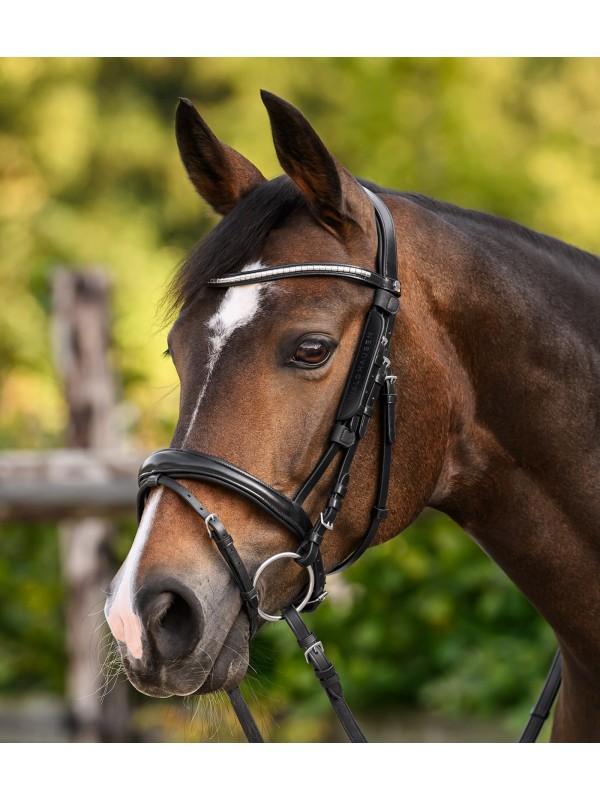 OEILLERE EN CUIR CHEVAL " PETITE " WALDHAUSEN