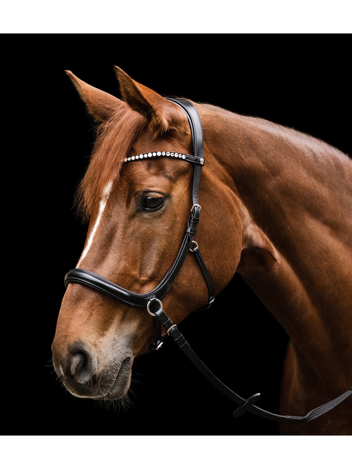 BRIDON SIDE PULL EN CUIR " X-LINE SENSATION " WALDHAUSEN