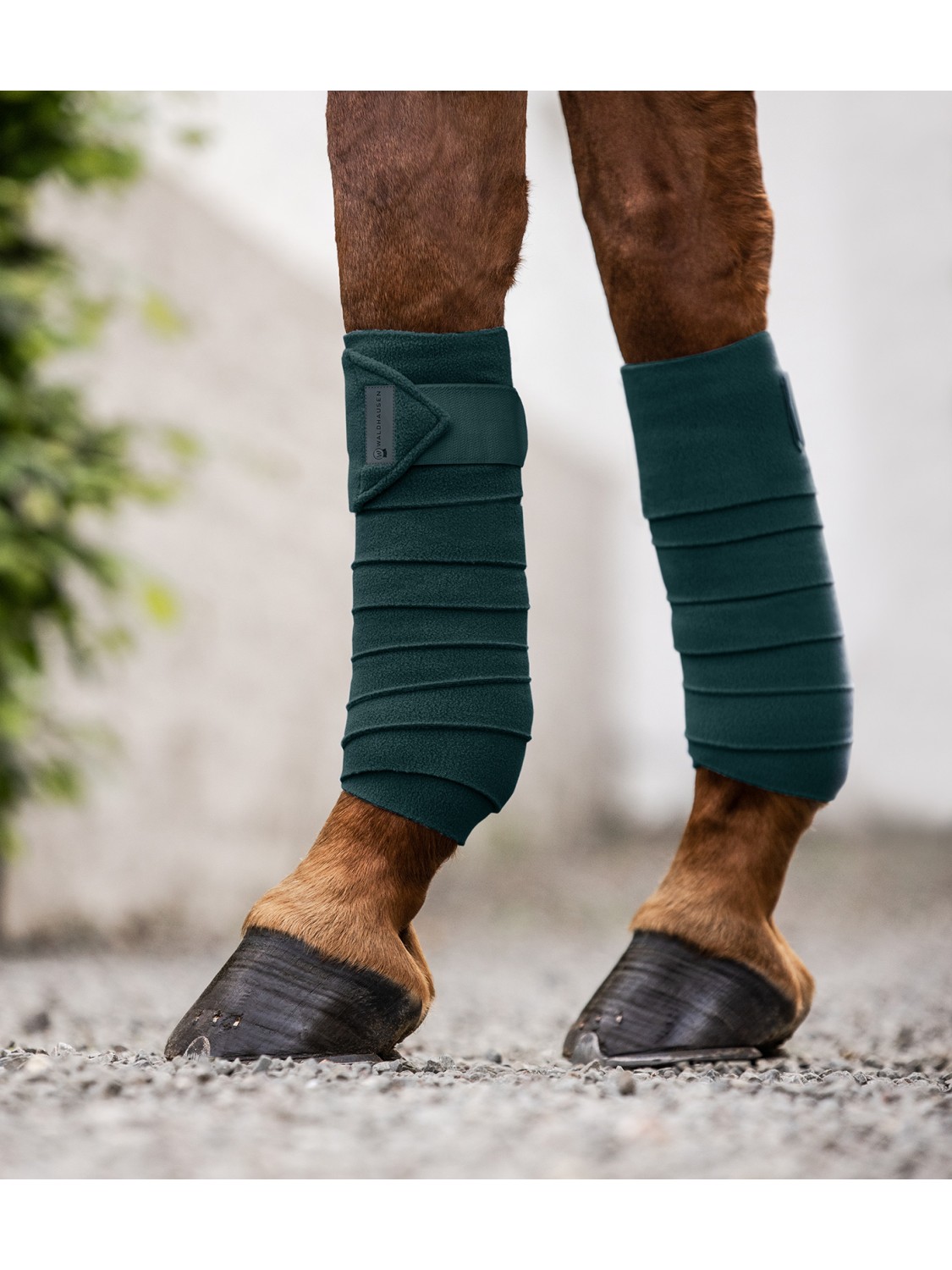 BANDE DE POLO EN POLAIRE JEU DE 4 WALDHAUSEN