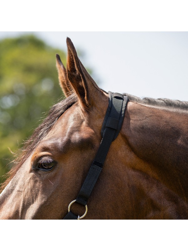 MUSELIERES CHEVAL AVEC DOUBLURE MOUTON ET NARINES QHP