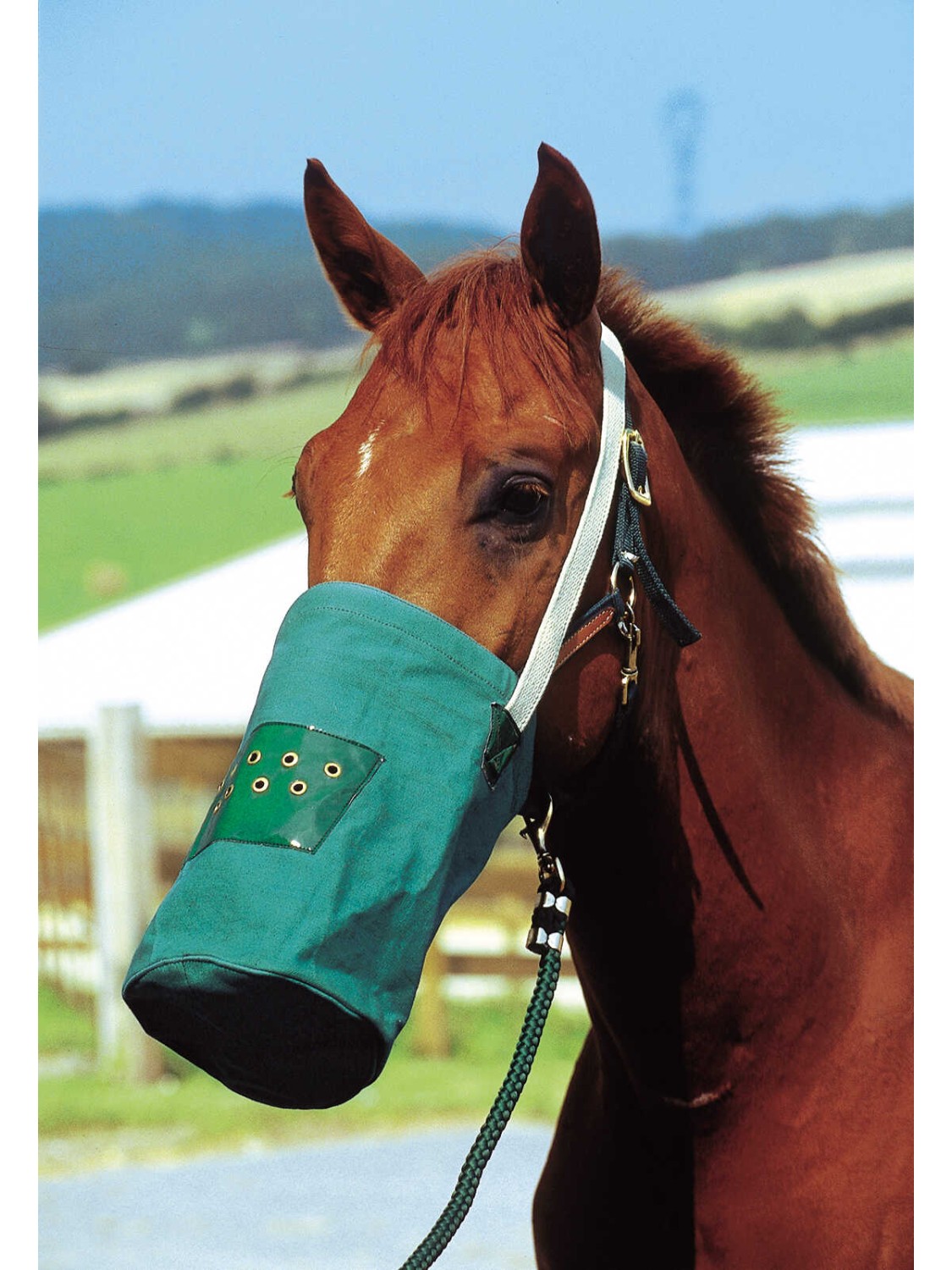 MUSETTES EN CANVAS CHEVAL " HIPPOTONIC "