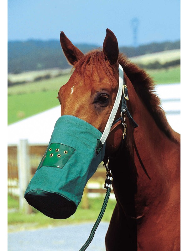 MUSETTES EN CANVAS CHEVAL " HIPPOTONIC "