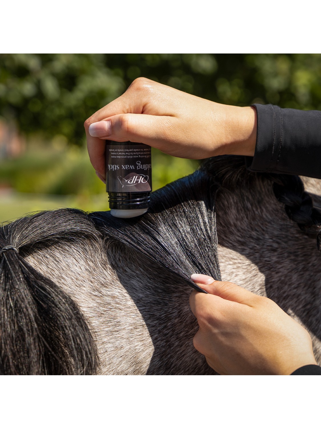 BATONS CIRE POUR PIONS CHEVAL " QHP "