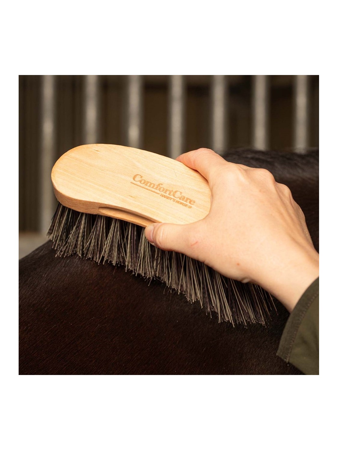 BROSSE DURE " COMFORTCARE WOOD MEDIUM "