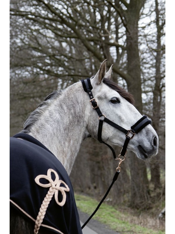 LICOL CHEVAL EN MOUTON BUCLERIE  ROSEGOLD GLAMOUR