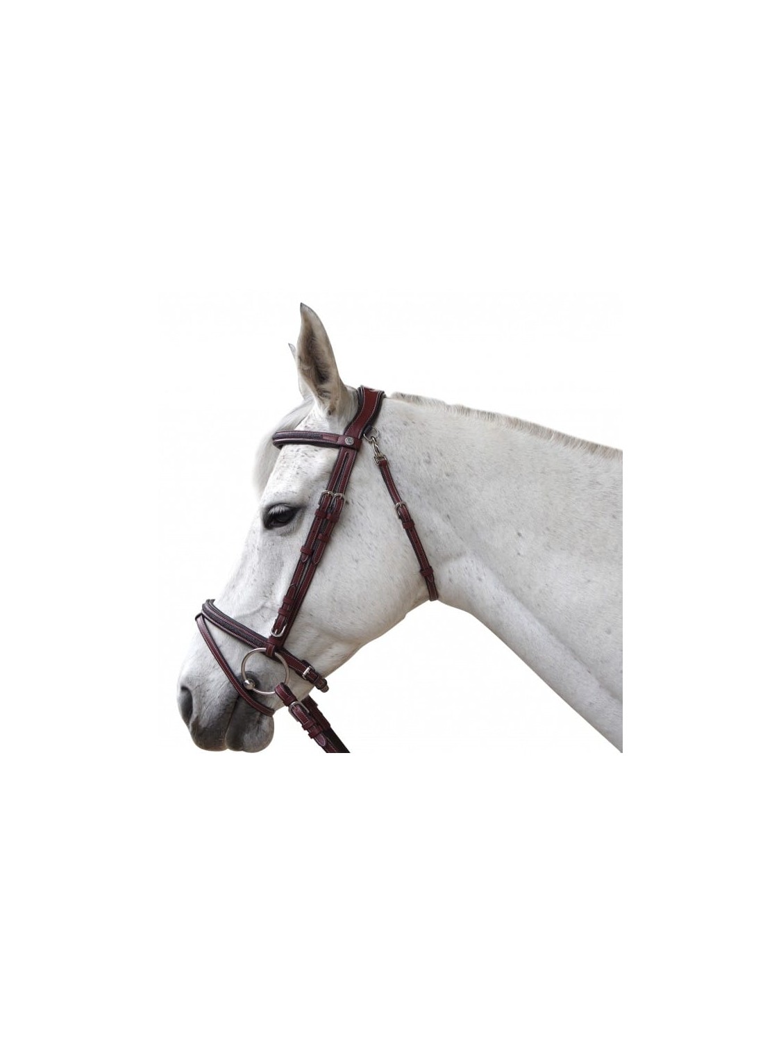 BRIDON CHEVAL EN CUIR STRASS AACHEN TETIERE ANATOMIQUE FLAGS AND CUP